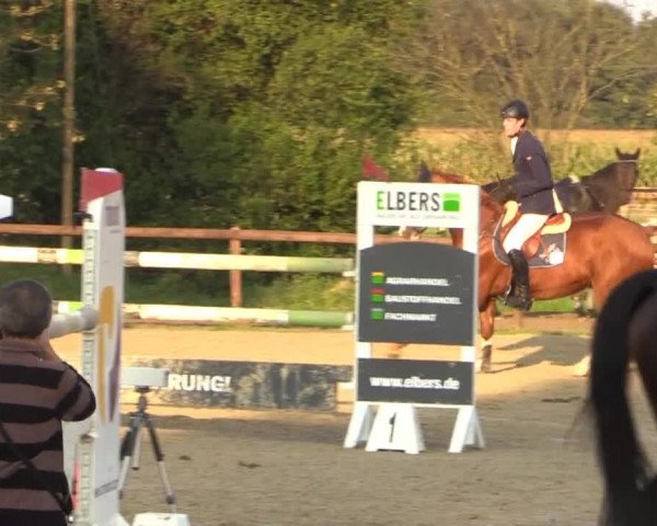 Reitstall Brinkmann 2014