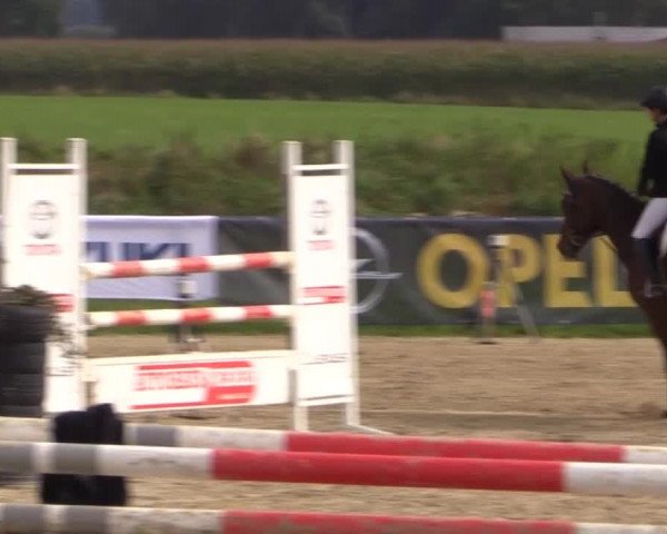 Reitstall Brinkmann 2014