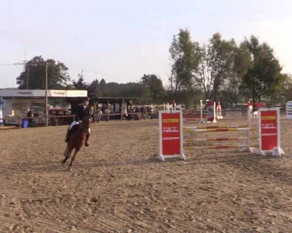 Reitstall Brinkmann 2014