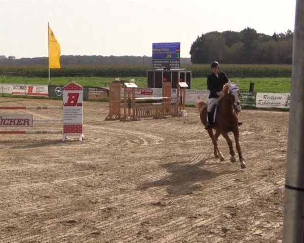 Reitstall Brinkmann 2014