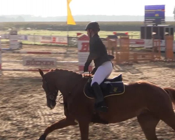 Reitstall Brinkmann 2014