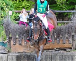 broodmare Jean Jardin (Trakehner, 2010, from Dujardinn)