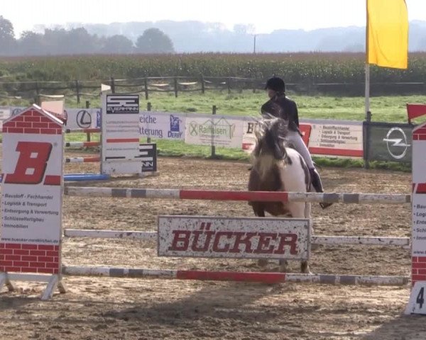 Reitstall Brinkmann 2014