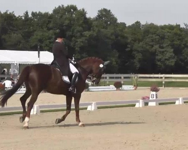 Dressurturnier Hubertushof RSG Linkenheim-Hochstetten 2014
