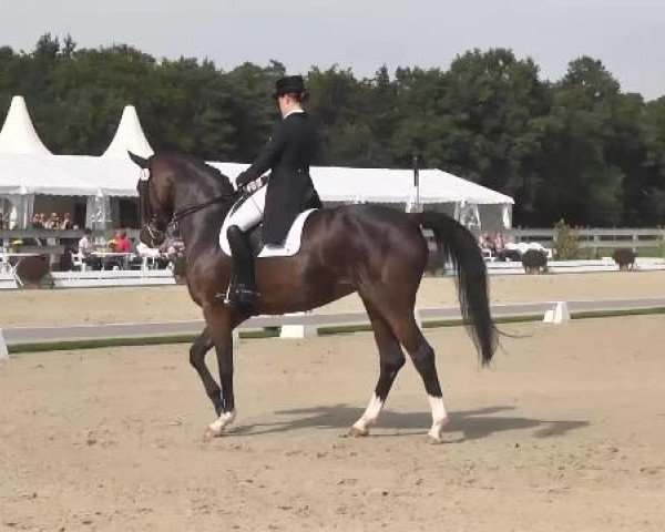 Dressurturnier Hubertushof RSG Linkenheim-Hochstetten 2014