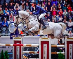 jumper Dino W (KWPN (Royal Dutch Sporthorse), 2008, from Berlin)
