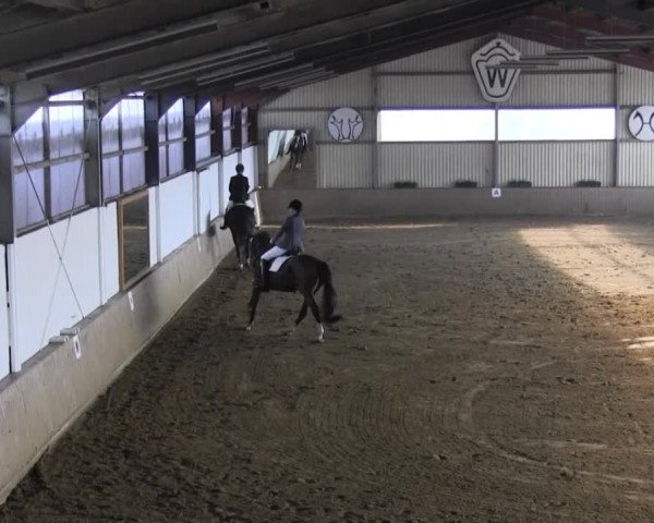 Reitstall Brinkmann 2014