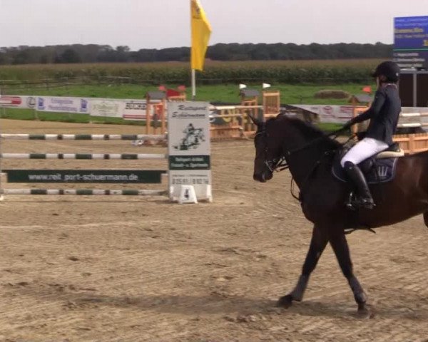 Reitstall Brinkmann 2014