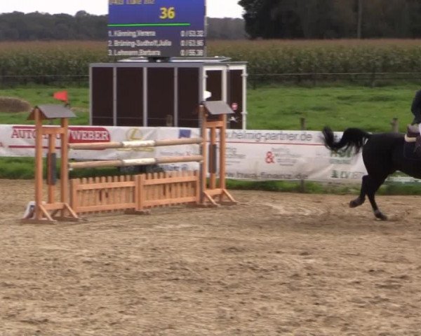 Reitstall Brinkmann 2014