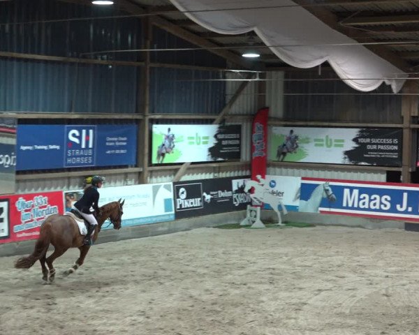 4. Nordic Jumping in Negernbötel 2021
