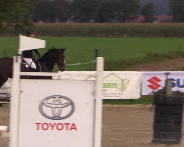 Reitstall Brinkmann 2014