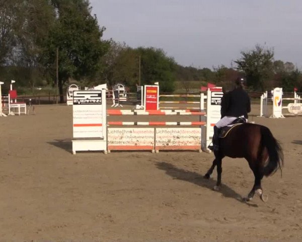 Reitstall Brinkmann 2014