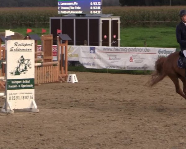 Reitstall Brinkmann 2014