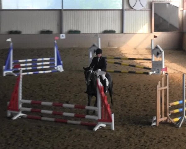 Reitstall Brinkmann 2014