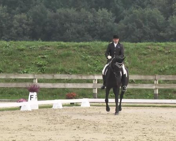 Dressurturnier Hubertushof RSG Linkenheim-Hochstetten 2014