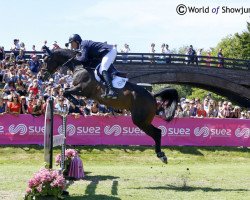 jumper Emilie de Diamant As (Belgian Warmblood, 2004, from Diamant de Semilly)