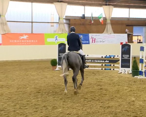 Indoor-Opening Damme 2014