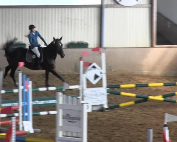 Reitstall Brinkmann 2014