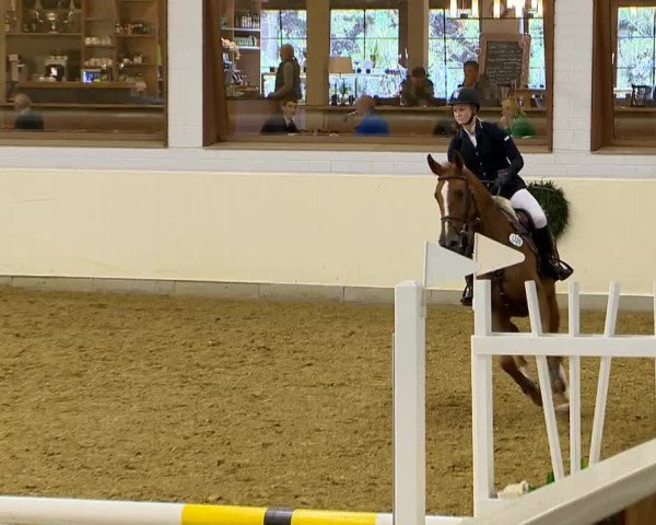 Indoor-Opening Damme 2014