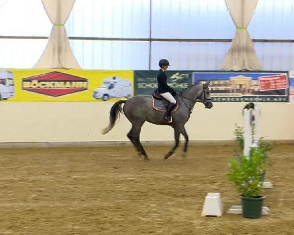 Indoor-Opening Damme 2014