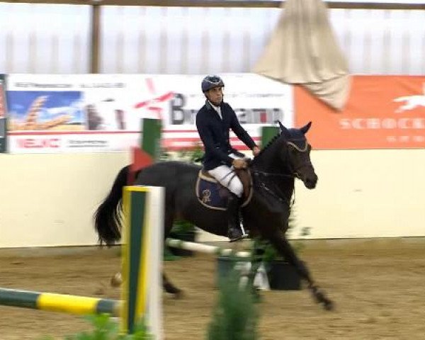 Indoor-Opening Damme 2014