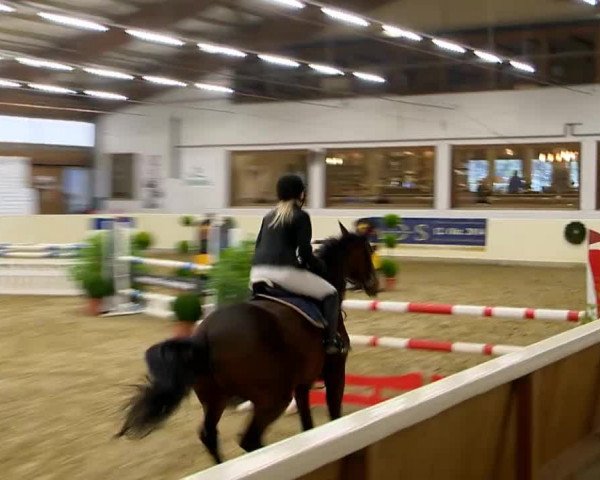 Indoor-Opening Damme 2014