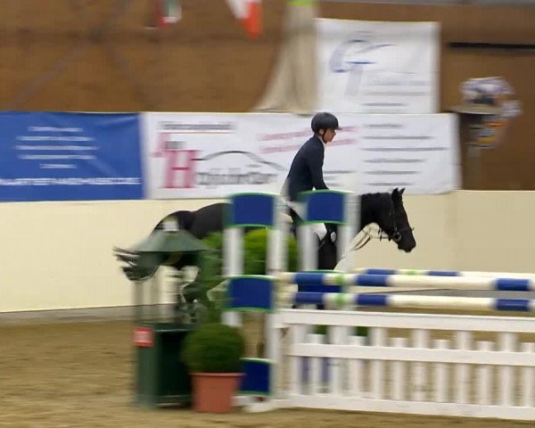 Indoor-Opening Damme 2014