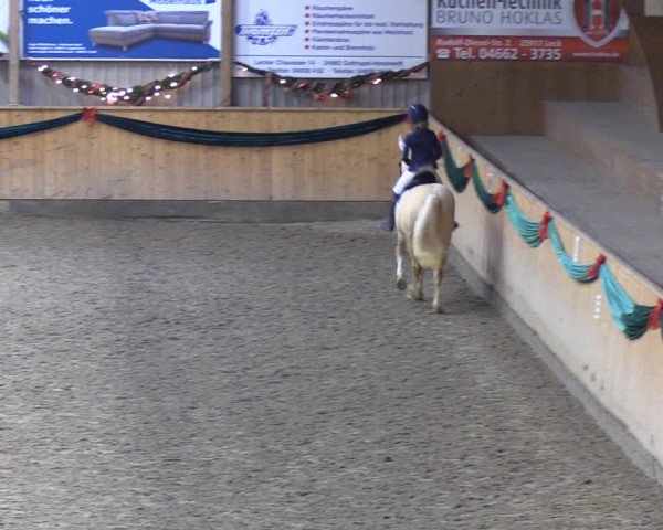 Reitturnier Leck 2021