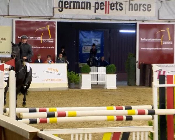 Indoor-Opening Damme 2014