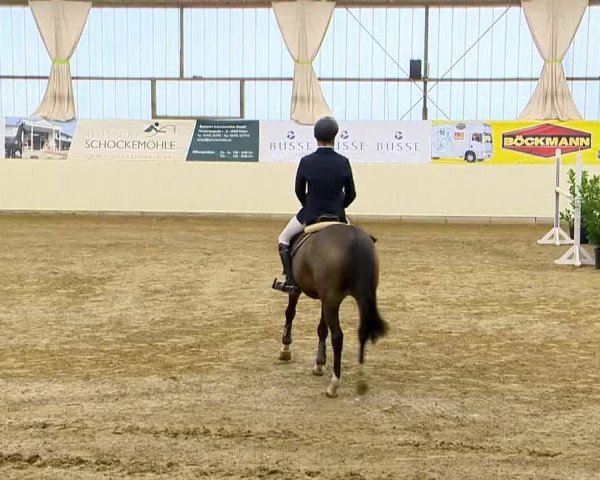 Indoor-Opening Damme 2014