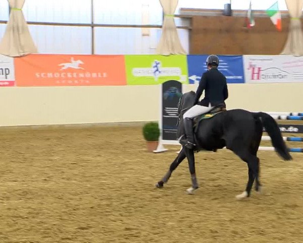 Indoor-Opening Damme 2014