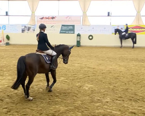 Indoor-Opening Damme 2014
