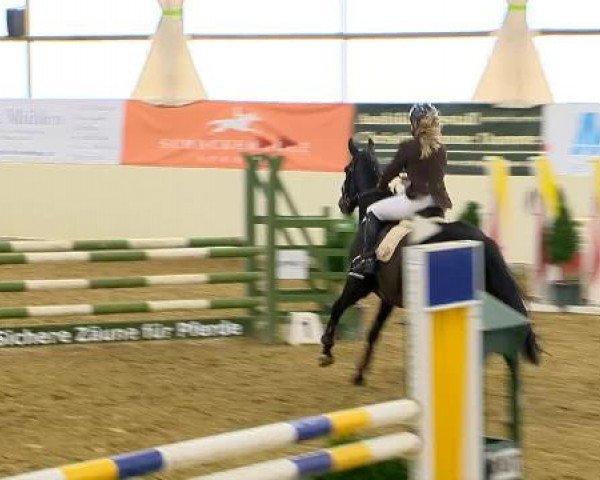 Indoor-Opening Damme 2014