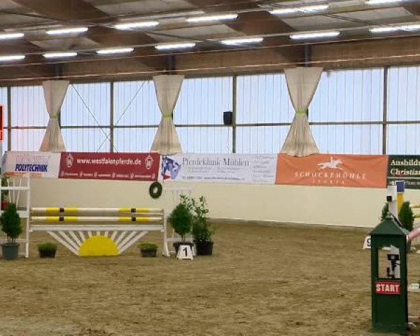 Indoor-Opening Damme 2014