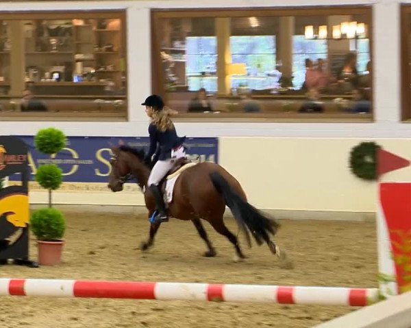 Indoor-Opening Damme 2014