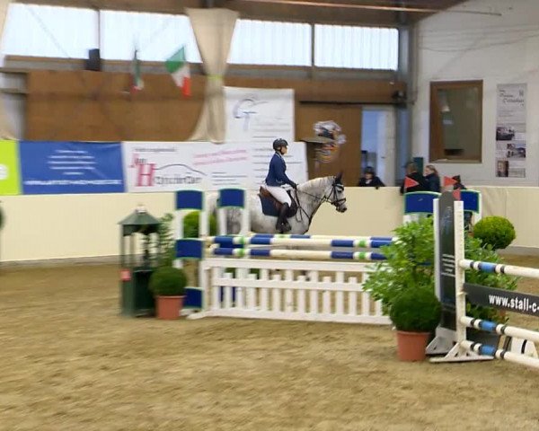 Indoor-Opening Damme 2014