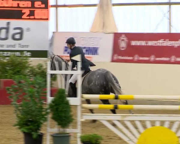 Indoor-Opening Damme 2014