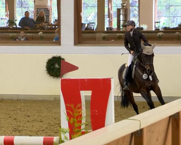 Indoor-Opening Damme 2014