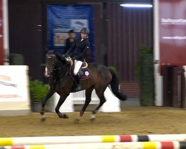 Indoor-Opening Damme 2014