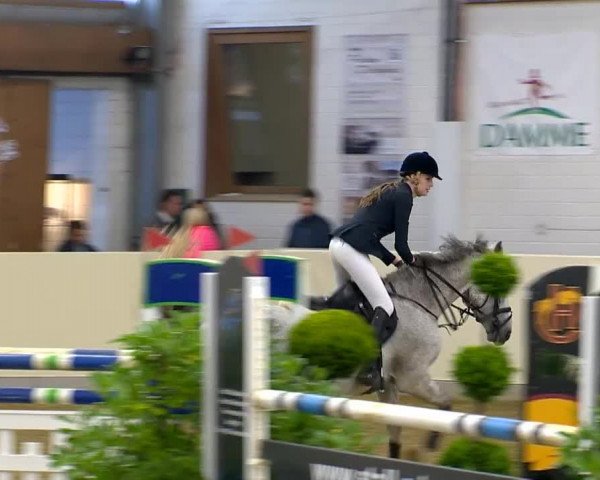 Indoor-Opening Damme 2014