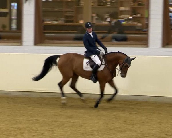 Indoor-Opening Damme 2014