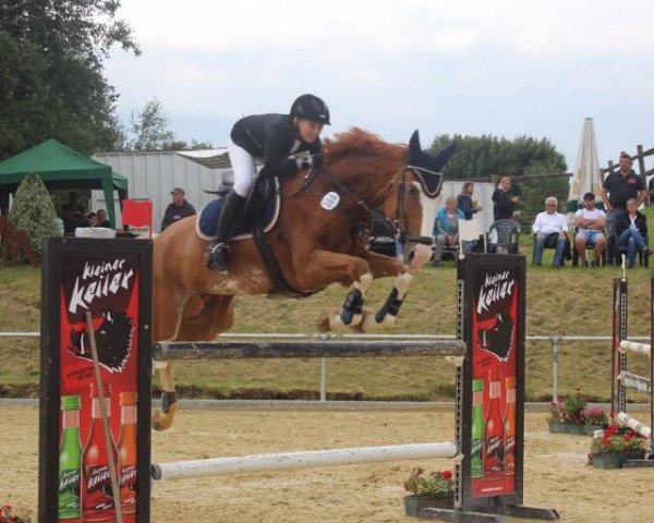 jumper Tabaluga (Hanoverian, 2010, from Tinka's Boy) jumper Tabaluga (Hanoverian, 2010, from Tinka's Boy)