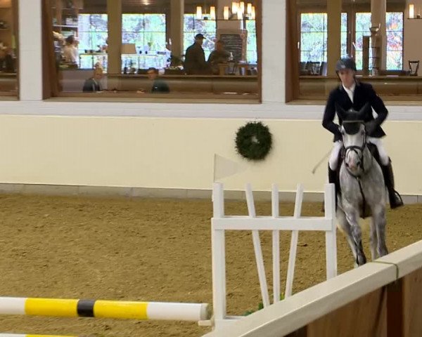 Indoor-Opening Damme 2014