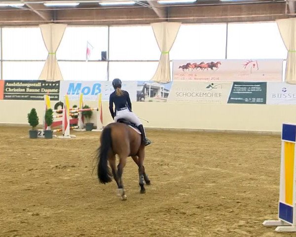 Indoor-Opening Damme 2014