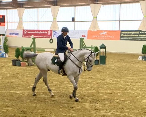Indoor-Opening Damme 2014