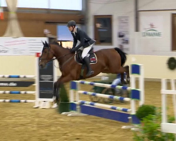 Indoor-Opening Damme 2014