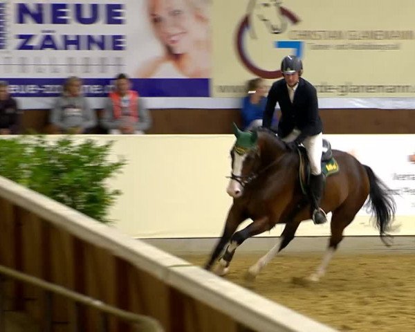 Indoor-Opening Damme 2014