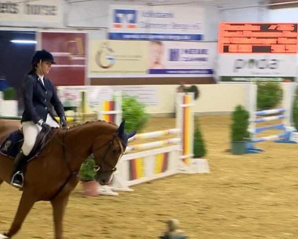 Indoor-Opening Damme 2014