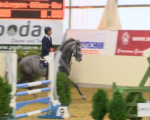 Indoor-Opening Damme 2014