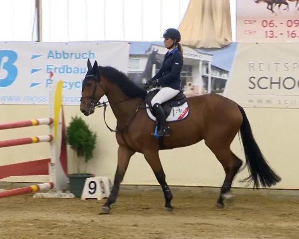 Indoor-Opening Damme 2014